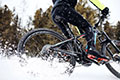 Darlexx® Cycling Image