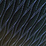 Shawmut Textile Dyeing and Finishing Advanced Material
